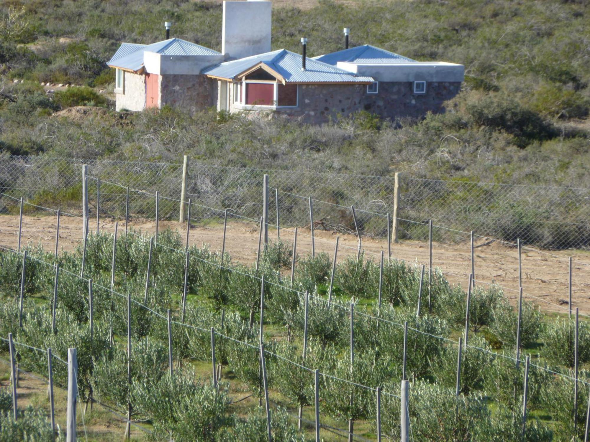 La Calandria Casa De Campo Villa Puerto Madryn Eksteriør billede