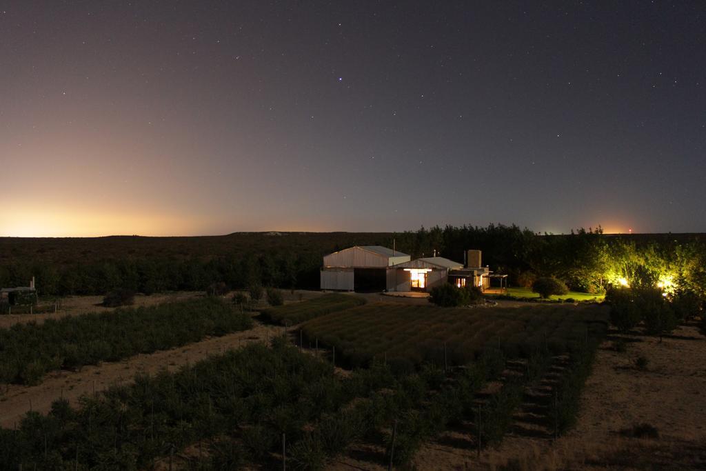 La Calandria Casa De Campo Villa Puerto Madryn Eksteriør billede