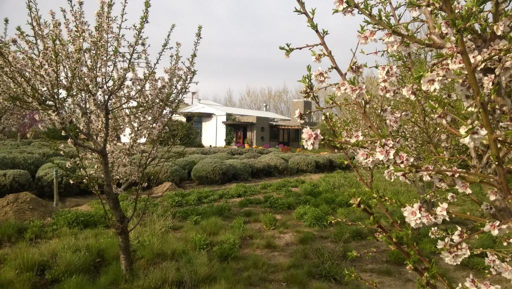 La Calandria Casa De Campo Villa Puerto Madryn Eksteriør billede